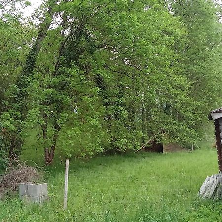 Charmante Yourte Contemporaine Carmaux Exteriör bild
